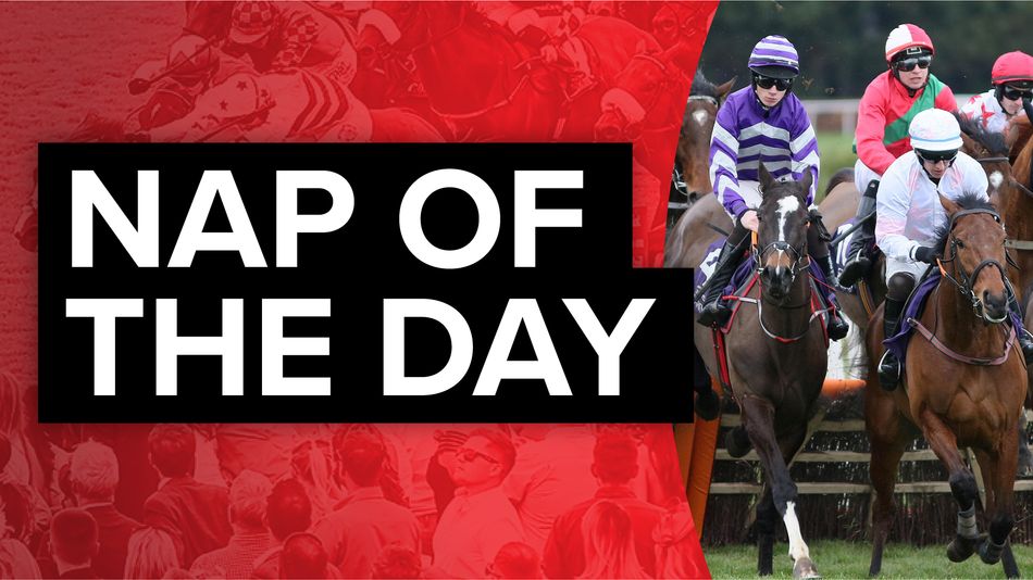 group of racing horses and title of nap of the day